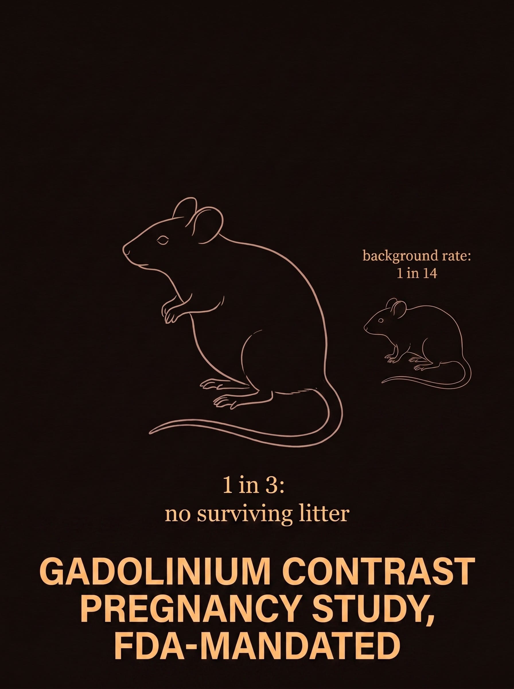 A sombre illustration of a mother mouse with pups, representing the reproductive toxicity findings in the pregnant-mouse gadolinium studies, illustrating gadolinium MRI contrast safety